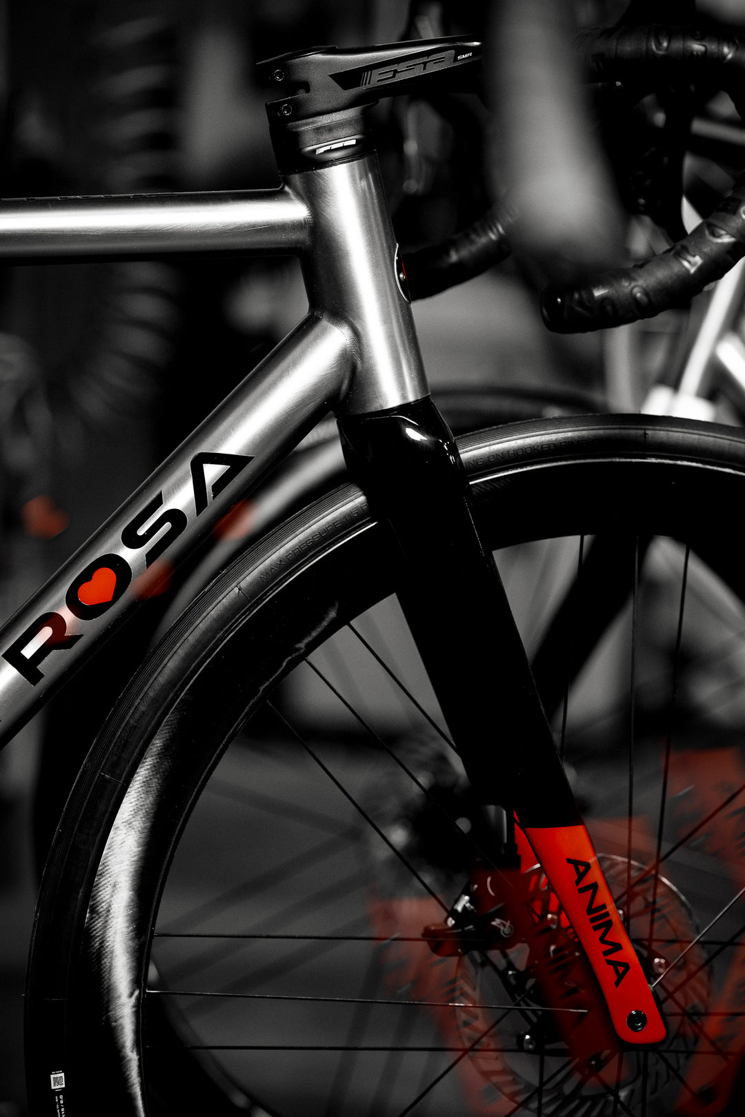 De Rosa North America